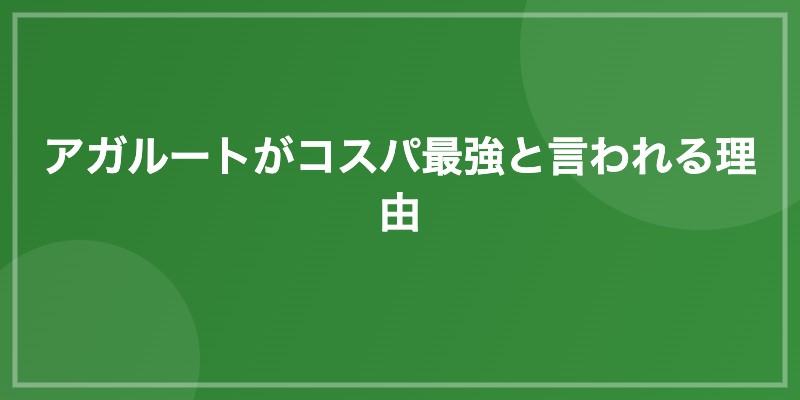 アガルートがコスパ最強と言われる理由