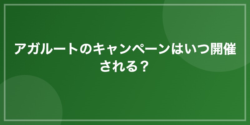 アガルートのキャンペーンはいつ開催される?