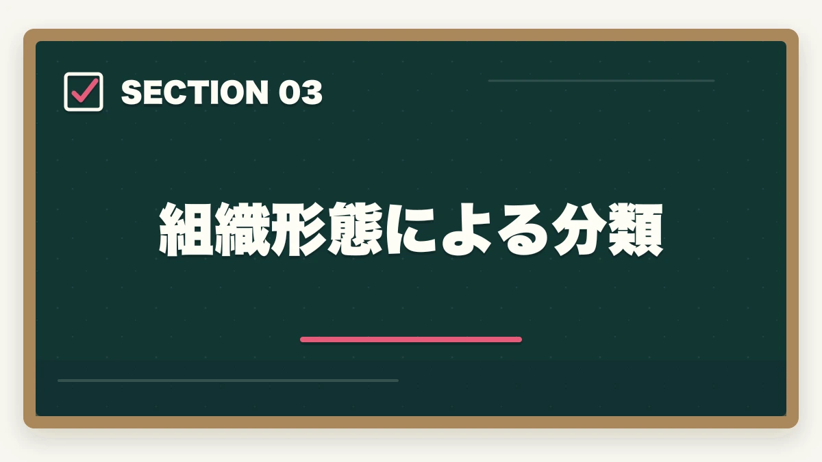 組織形態による分類|弁護士事務所の種類と特徴|大手・中小・専門事務所の違いを徹底解説の図解
